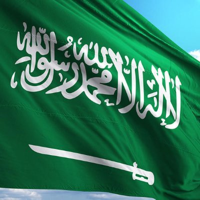 محب بالاطلاع على الانظمة السعودية والعربية (لست محاميا)