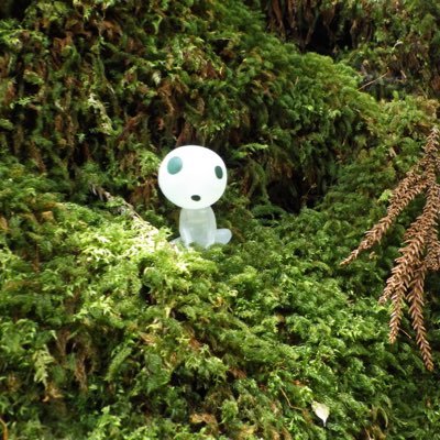 Twitter開封部。神河から紙のmtgコレクション始めました。 群馬県。アリーナはスタン勢。紙はスタンとEDH。ときどきモダン。