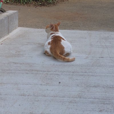 太貴さんのプロフィール画像