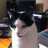 Guylafur's profile image