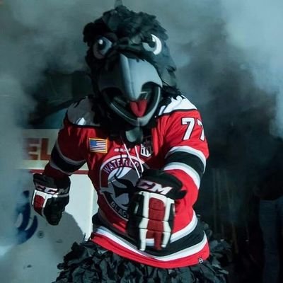33 years...give or take a day or two, mascot for the Waterloo Black Hawks of the USHL
