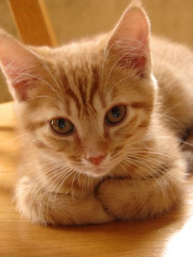 bbgirl66's profile picture. 