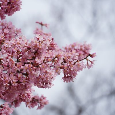 アカウントとって９年近く放置。必要性にかられて再開。