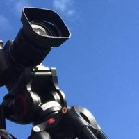 Sean (@steneseen) 's Twitter Profile