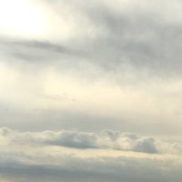 raz (@raz050505) 's Twitter Profile