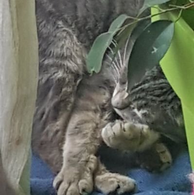 aaramsi's profile picture. Observe, espère, apprend.....