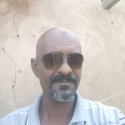 Telal Abdoon Profile