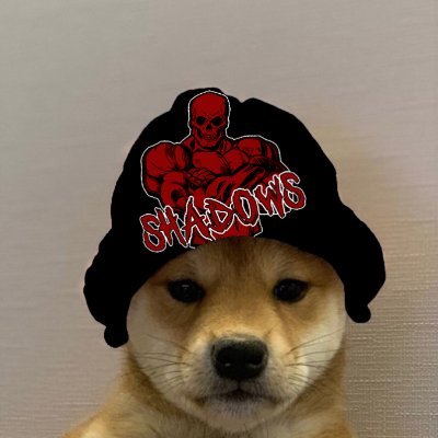 PC Gamer ▫️ Quickscoper ▫️ R6 tryhard ▫️ Rocket League enthusiast ▫️ My Discord: https://t.co/CvNqgtN0AA ▫️email: Mullins.compgaming@gmail.com