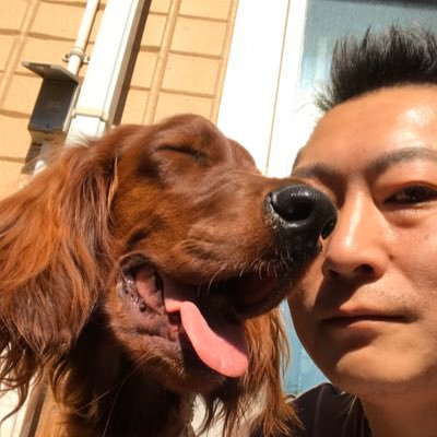 三浦竜太 おからハンバーグ ワンズみんな大好き クロも食べてくれたー Irishsetter アイリッシュセター Dog 大型犬 ペット 大型犬のいる生活 ガンドッグ World Irish Setter チワックス キャバリア 猫 カレー 肉 ステーキ Steak