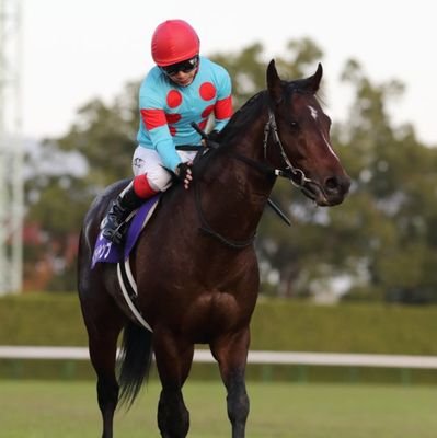 PKKPP1404's profile picture. 平場から将来のG1馬を見つける❗過去の実績としてはダノンシャーク、ブラストワンピース等です。勝負の絶唱馬券は単勝🏇推し馬はホウオウ様達。