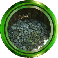 ailene109 (@ailene109) 's Twitter Profile