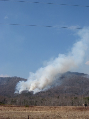 The wildfire started on 2/12/2011. The cause of the fire is under investigation. No structures have been lost. A NCFS Type 2 IMT is managing fire suppression.