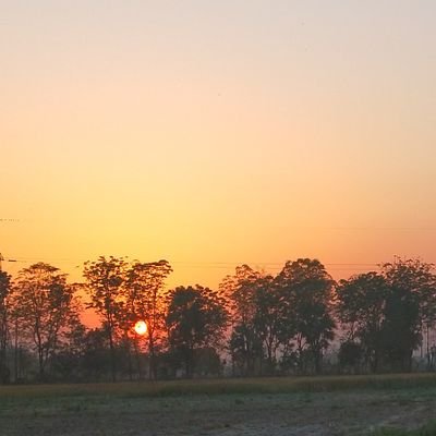 Prashanttito's profile picture. 