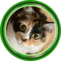 Nyam Nyam🇲🇾💚to the Moon🚀🌕💫🌳🌳🌳 (@michelle_3388) 's Twitter Profile Photo Nyam Nyam🇲🇾💚to the Moon🚀🌕💫🌳🌳🌳 (@michelle_3388) 's Twitter Profile Photo