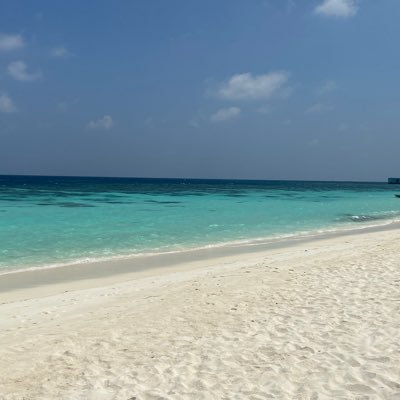 HaymanMlf's profile picture. 