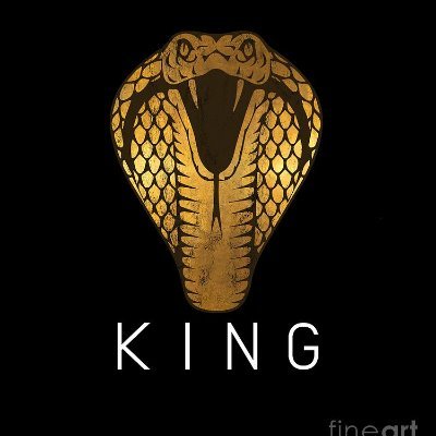 KingMakerIQ Profile Picture