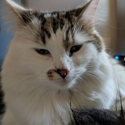 WeatherNantwich's profile picture. 