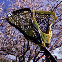 淑徳大学女子ラクロス部🥍 (@shukutokusugl) Twitter profile photo