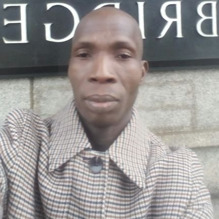 toyeade's profile picture. An economist and a Tax Administrator