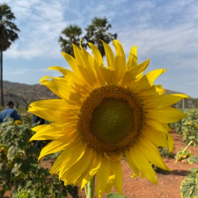 HappyWayyy's profile picture. 