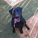 Levi Bishop - @lnbishop35 - Twitter