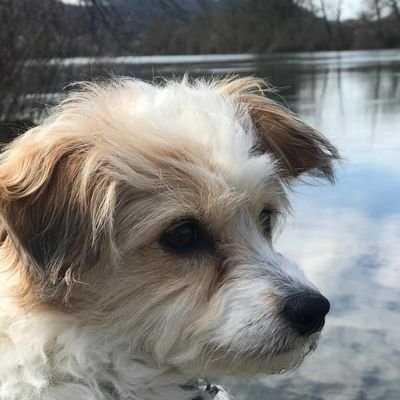 kpjjf's profile picture. To many pen pushers running this country for too long.  🚴Gravel Biker, Cars 🚗 and Bikes 🏍️. https://t.co/nffq0ad2v1