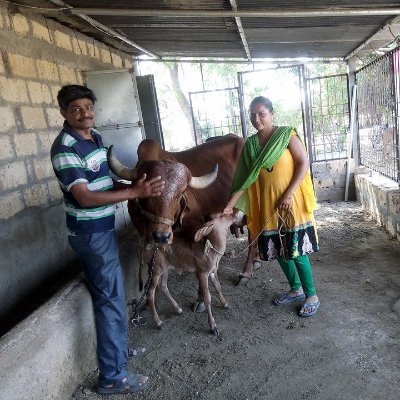 Labour and migration, Rural Economic, Livelihood, Democracy and politics  Lives in Ahmedabad