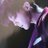 Myragon2's profile image