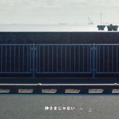 wpmtmgj's profile picture. 