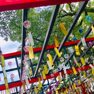 nehuphoto's profile picture. 写真を別で上げてるだけのアカウント。