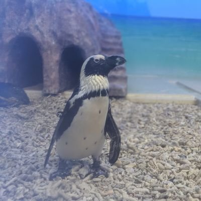 ままん♂さんのプロフィール画像