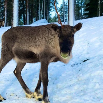 ArchieB76278246's profile picture. Hello