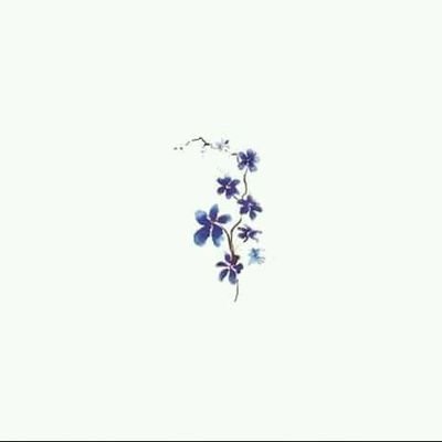 ohmguss's profile picture. 