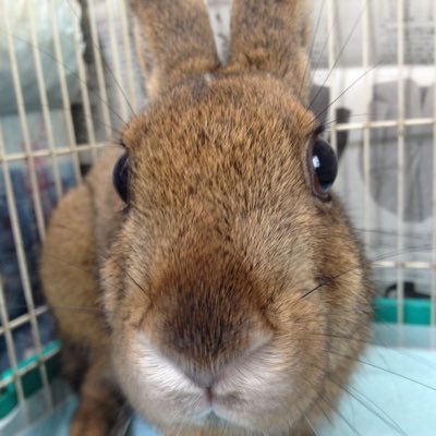 usakabu's profile picture. 株。無理なく手堅く！