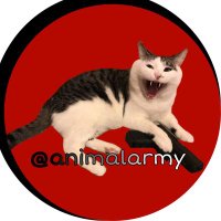 Animal Army(@animaIarmy) 's Twitter Profile Photo