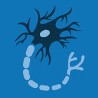 NeuroSci Editorial Office Profile