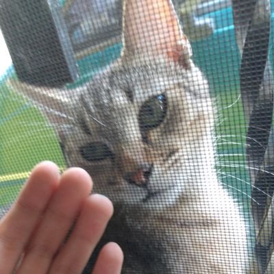 Gabrielsaurus1's profile picture. XD