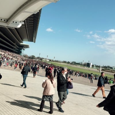 toritanikun's profile picture. 