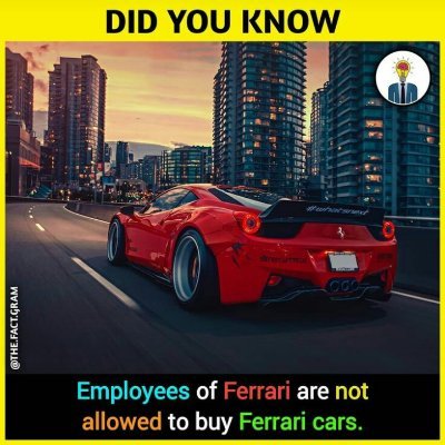 nenfort_marcel's profile picture. 