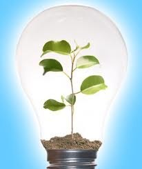 IPowerGreen's profile picture. 