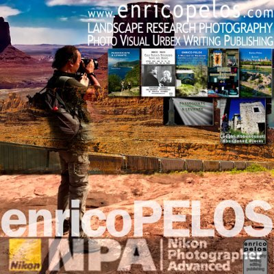 Enrico Pelosさんのプロフィール画像