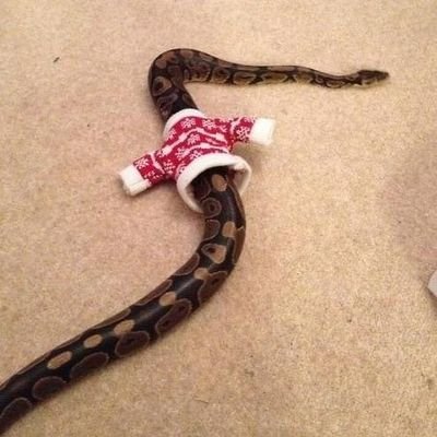 matiasvidalmat1's profile picture. .