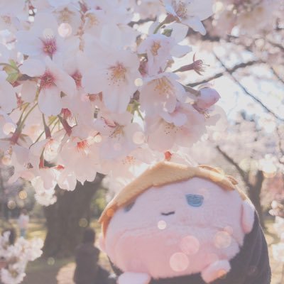 Ruiメイさんのプロフィール画像