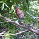 Jay Long - @ucallthatatweet - Twitter