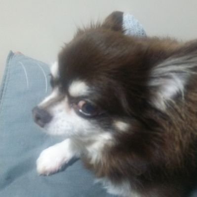 kotohan1011's profile picture. 麻雀と酒を愛するオッサンです(^_^)
ゆるーり行きます
ちくわ部兼バスロー部
※７年半ぶりに大阪帰ってきました/やかん（永井）軍団所属  ナガール36号　第2期れったん位   ナインリーグ初代MVP