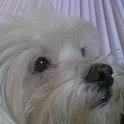 Lizzangela5's profile picture. 