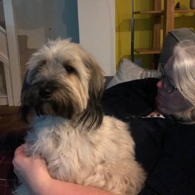 stevejo51597024's profile picture. 