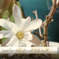 Warwick Islamic Education Programme (@warwickiess) 's Twitter Profile Photo