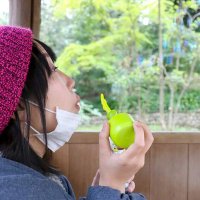 Momoko Kawano (@momo_com) 's Twitter Profile Photo Momoko Kawano (@momo_com) 's Twitter Profile Photo