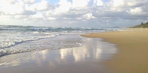 qsainsbury's profile picture. Loves alternative, dislikes normal.